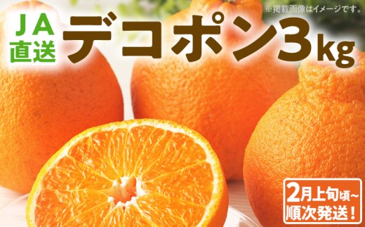 期間限定 デコポン フルーツ 果物 くだもの 3kg 不知火 柑橘 甘い 濃厚 ジューシー 産地直送 デザート おやつ オレンジ 福岡県 福岡 九州 グルメ お取り寄せ 【2月上旬頃から順次発送】