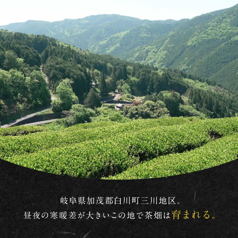 発酵和茶Trinitea 一番茶リーフタイプ 50g 和紙化粧箱入り / ヨリスグリ[AWBV005]和紅茶ギフト