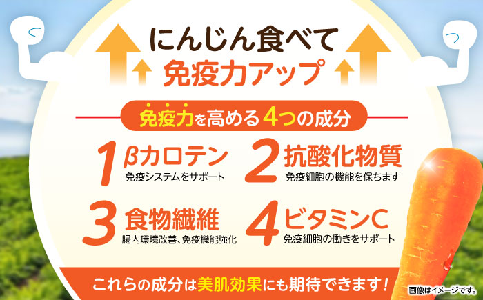 滝さんの人参 10kg / にんじん ニンジン 人参 やさい 野菜 / 諫早市 / 滝商店株式会社 [AHCU001]