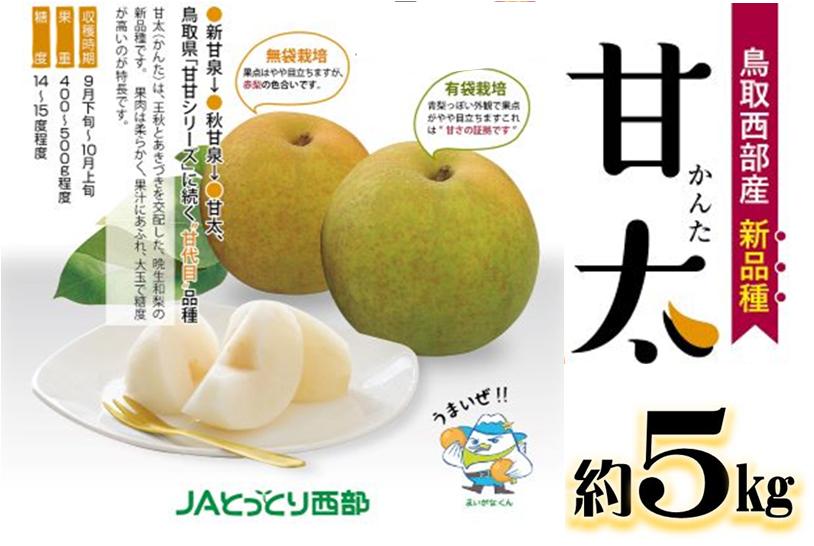 
            鳥取県産梨「甘太（かんた）梨」5kg
          