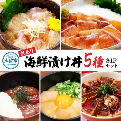 ふるさと納税 土佐市 【訳アリ】土佐の海鮮漬け丼5種各1袋セット