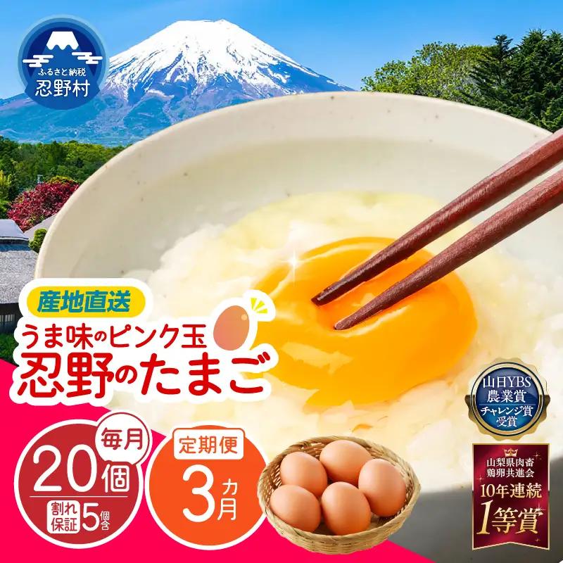 【3ヶ月定期便】”忍野の卵”旨味のピンク玉20個×3回 ※割れ保証含む 卵