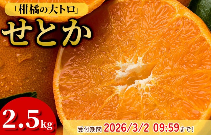 
                  【先行予約】【数量限定】ホリ田ヤ せとか 2.5kg【K002420】
                