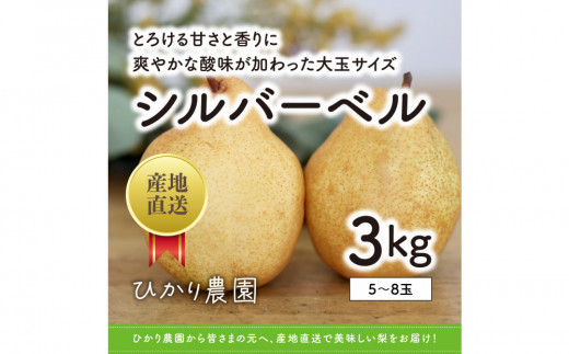 
                  完熟こだわりシルバーベル 3キロ（ひかり農園）
                