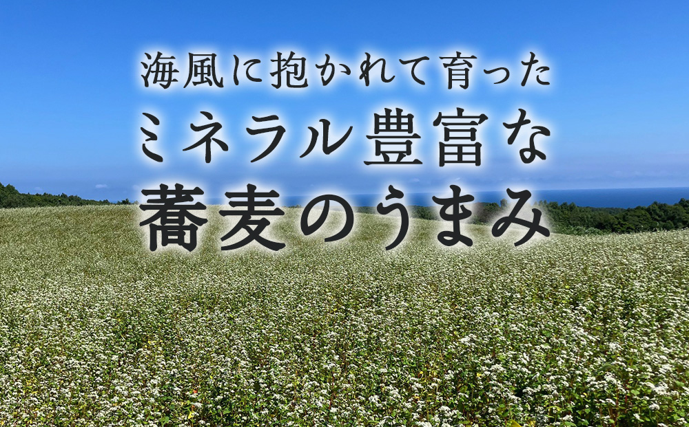 【積丹町そば】10人前≪麺260g×つゆ120g×5セット≫　年越しそば 国産 積丹産 蕎麦 冷凍（SN013）