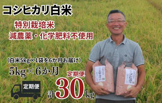 
                  【コシヒカリ 定期便 白米 5kg✕6か月連続 松原グリーンファーム】 特別栽培米 コシヒカリ 白米 5kg （5kg×1袋） 6か月  合計 30kg  令和8年産 2026年産 小分け 単一米 精米  減農薬 化学肥料不使用 埼玉県認証 埼玉県 川島町
                