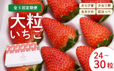 いちご 2026年1月から5月発送 5ヶ月 定期便 大粒 24~30粒 あきひめ 紅ほっぺ かおりの きらぴ香 いちご 