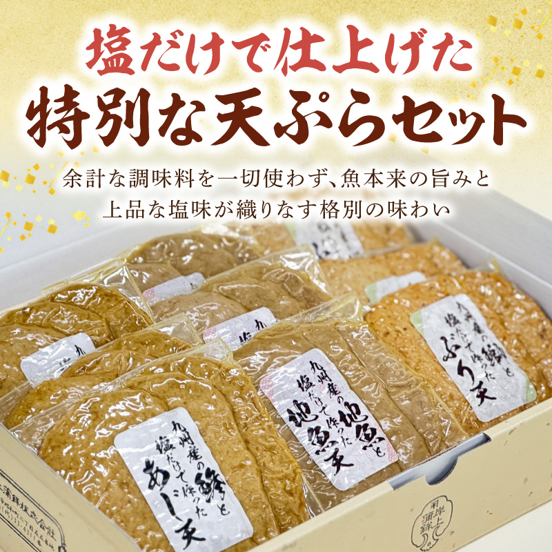 塩と地魚だけで作った天ぷらセット N006-YA4431