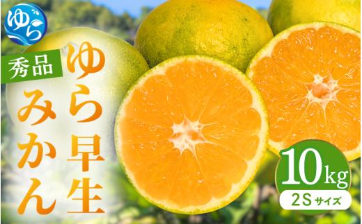 
                  ゆら早生みかん 秀品 2Sサイズ 10kg 贈答用※2026年10月上旬～11月中旬頃に順次発送予定 / ゆら早生 柑橘 極早生 フルーツ 果物 くだもの 食品 人気 おすすめ 送料無料 由良町 【ksmt003-r-10】
                