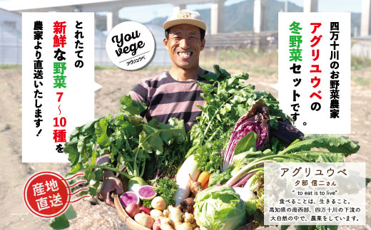 【 2回定期便 早期受付 数量限定 】 とれたて 新鮮 農家直送 アグリユウベの冬野菜セット (小) 国産 野菜セット 野菜便 やさい 野菜 冬野菜 産地直送 国産 旬 高知県 四万十市 四万十 しま