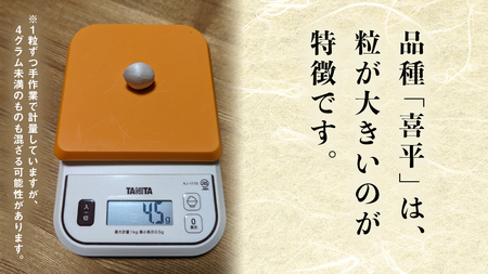 【先行予約】 喜平 ぎんなん 1kg (1粒4.0g程度・特大サイズ) 【2026年10月中旬より発送開始】  