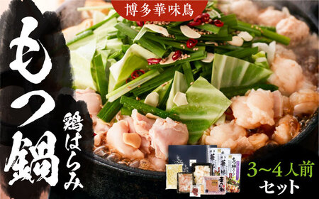 博多華味鳥 博多もつ鍋 鶏はらみ セット 3～4人前 《豊前市》【トリゼンフーズ】博多 福岡 鍋 鶏 もつ もつ鍋 [VAC004]