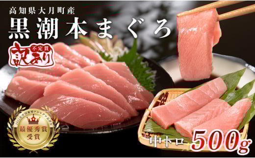 
            【訳アリ】養殖本マグロ 中トロ 500g 黒潮本まぐろ【レビューキャンペーン実施中】｜不定貫 不揃い 刺身用 家庭用 最優秀賞受賞 日本一 配達日指定可 指定日配送可 本まぐろ まぐろ 鮪 小分け 個包装 丼 寿司 柵 急速冷凍 解凍簡単 産地直送 高知県 大月町
          