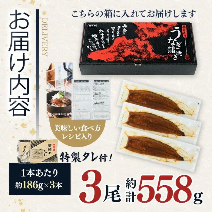 うなぎ 鹿児島県産 蒲焼 うなぎ 【薩摩川内鰻】 A1109-v01