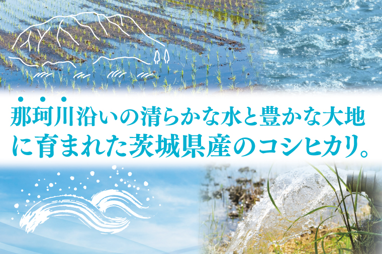 【10月より順次発送】【数量限定】【令和7年度産】茨城県産コシヒカリ 5kg【米 おこめ こしひかり 農家直送 直送 水戸市 茨城県】(ND-3)
