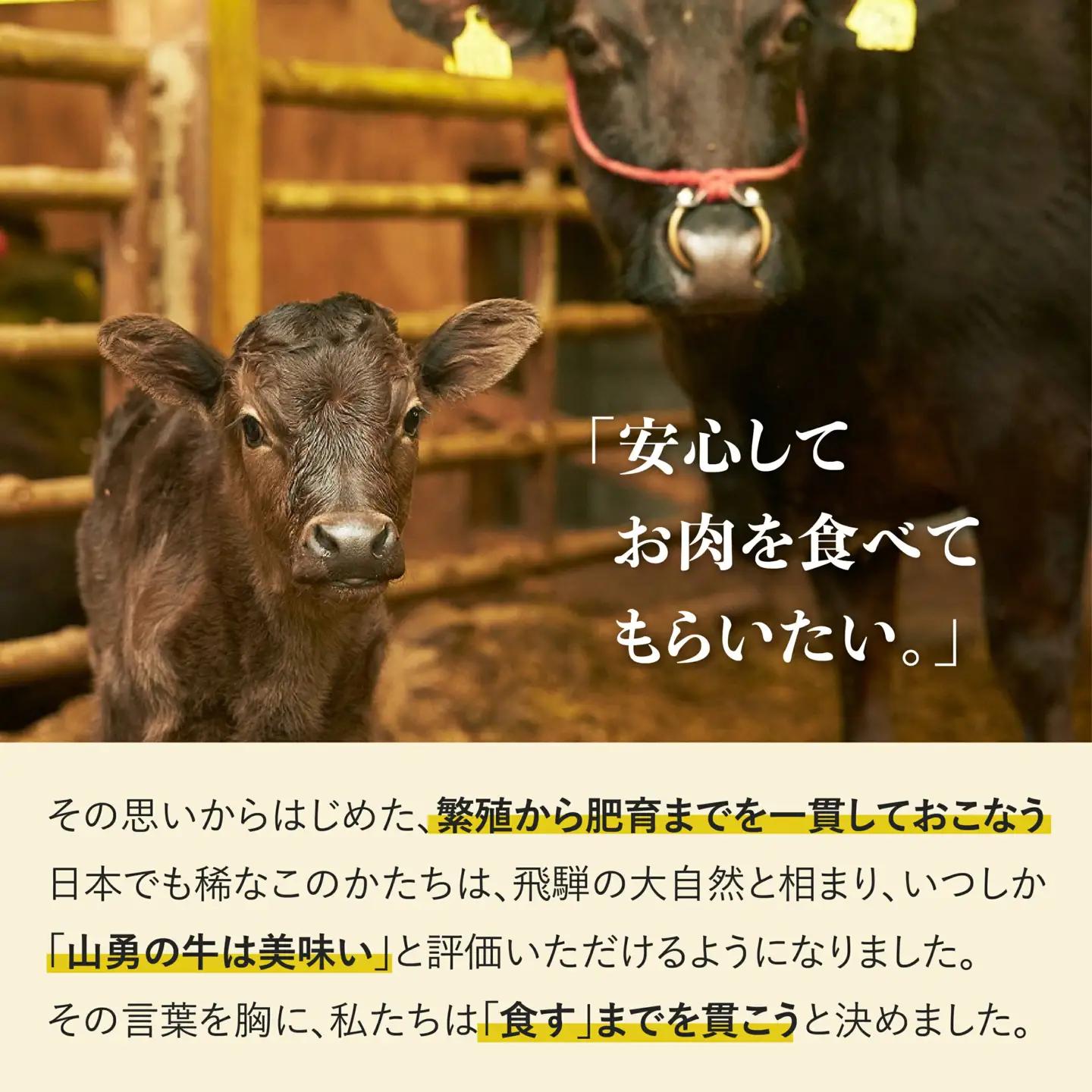 熟成めす 飛騨牛 山勇牛 フィレ ステーキ 100g×3 ヒレ 飛騨牛 フィレ ステーキ