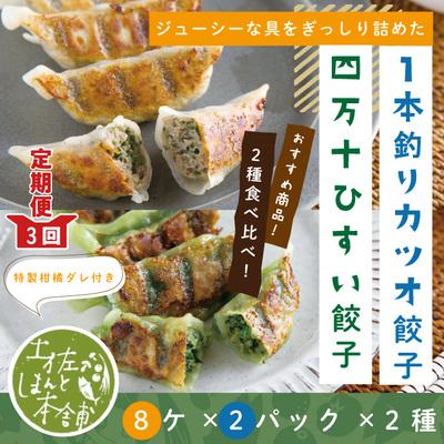 ふるさと納税 四万十市 【3回定期便】四万十ひすい餃子・一本釣りかつお餃子(8ヶ×2パック×2種)たれ付にんにく不使用26