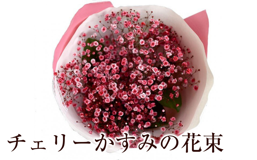 チェリーかすみの花束 かすみ草 カスミソウ 花束 花 誕生日 成人式 卒業祝い 初節句 ひな祭り バレンタイン お返し 結婚 ウエディング 送別 祝い プレゼント 結婚祝い お礼 花束 赤いかすみ草 チェリー レッド 生花ドライフラワーにも 送料無料 お母さん 記念日 272230_BG110
