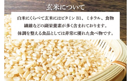 ＼新米 先行予約 令和7年産／ 完熟あさ陽米 (玄米) 5kg ひとめぼれ 特別栽培米 生産農家直送 (CP031)