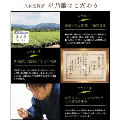 ふるさと納税 田川市 八女茶　煎茶ティーバッグ3g×200個入(100個×2袋)(田川市) |  | 03