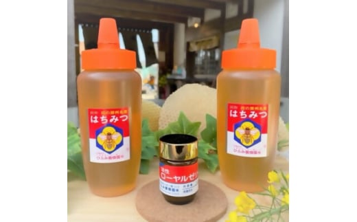 ひふみ養蜂園 はちみつ(500g×2)・ローヤルゼリー(30g)【1486517】