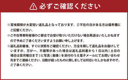 えだまめ （秘伝） 約2kg （約250g✕8） 枝豆 大粒 豆類 【2025年9月下旬-10月上旬発送予定】