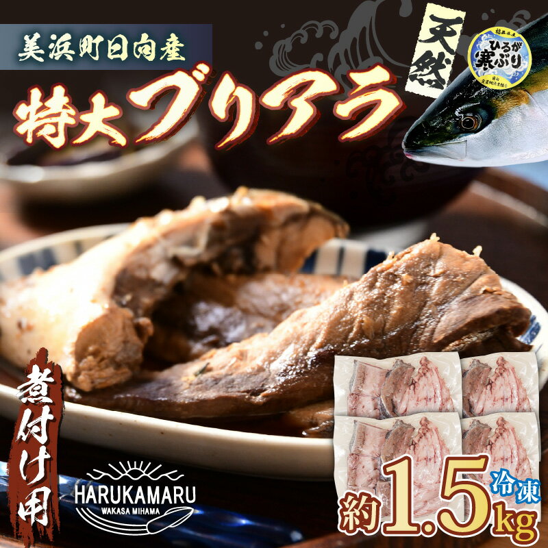 【ふるさと納税】天然 ぶり 特大 ブリアラ（煮付け用）合計 約1.5kg 美浜町日向産【ぶつ切り 切身 塩焼き 骨付き ブリ大根 煮物 アラ 鰤】
