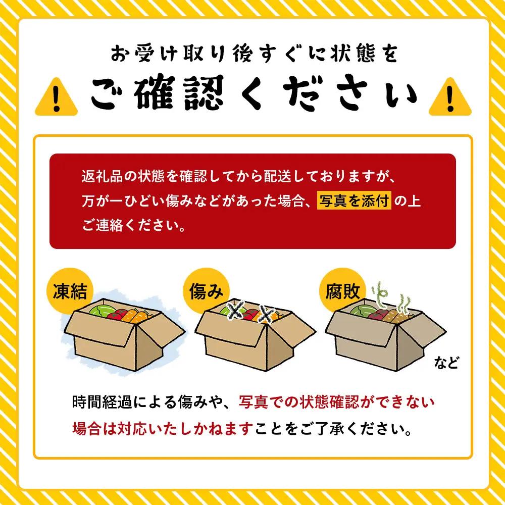 【規格外】本土最南端から 旬のお試し 野菜セット 8品目以上 NI-2 ｜ 旬 野菜 やさい 果物 くだもの 産地直送 農産物 冷蔵 鹿児島県 南大隅町産 詰合せ おまかせ 家庭用 訳あり なんたん市