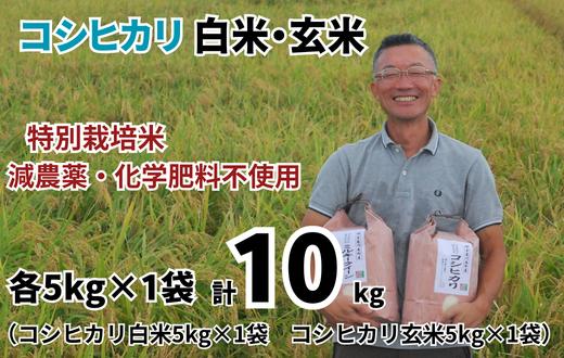 【コシヒカリ 玄米 ５kg ＆ コシヒカリ 白米 ５kg  松原グリーンファーム】 特別栽培米 コシヒカリ 玄米・白米　各5kg （5kg×1袋×2）  令和8年産 2026年産 小分け 単一米  減農薬 化学肥料不使用 埼玉県認証 埼玉県 川島町