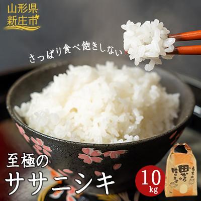 ふるさと納税 新庄市 至極のササニシキ　10kg