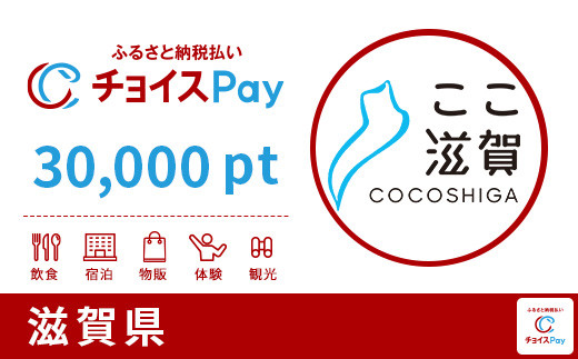 
滋賀県チョイスPay 30,000pt（1pt＝1円）【会員限定のお礼の品】
