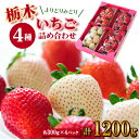 【ふるさと納税】いちご生産量日本一栃木県産【春いちご 】よりどりみどり!いちご4種詰め合わせ　(300g×4パック)【配送不可地域：離島】【1290961】