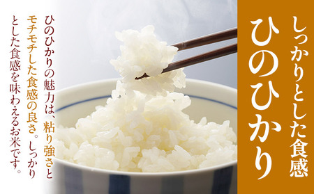 白米【6ヶ月定期便】令和7年産 ありがとう園のお米 5kg《お申込み月の翌月から出荷開始》