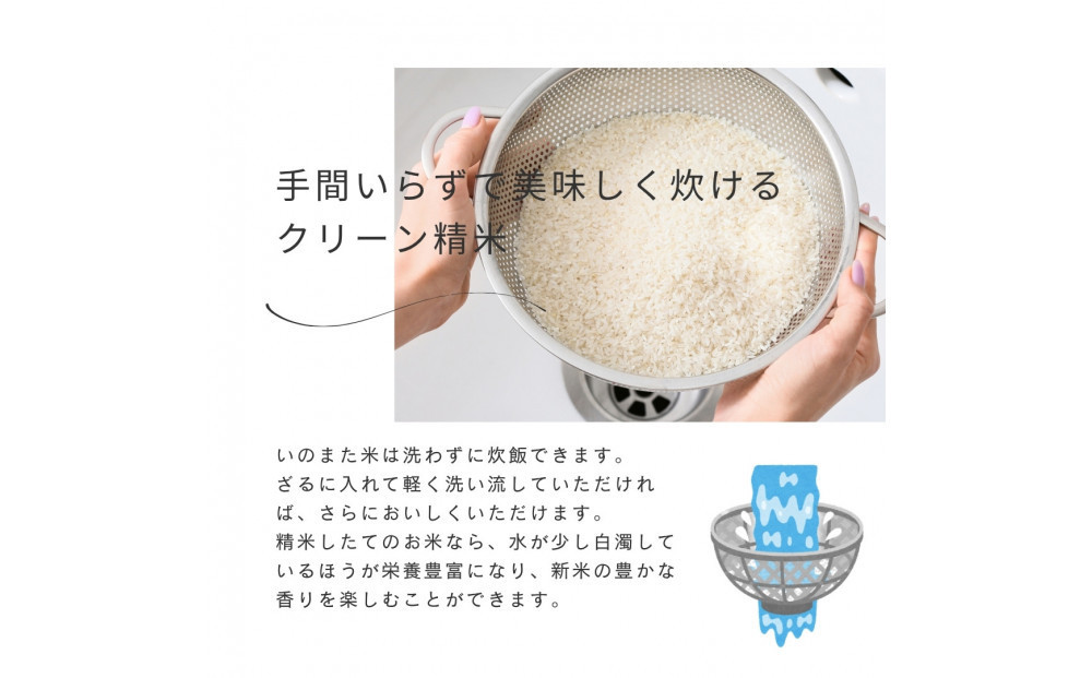 令和7年産コシヒカリ　精米（無洗米）10kg　農家直送　佐渡市いのまた米