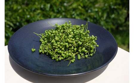 朝倉山椒 500g | 朝倉 山椒 さんしょう サンショウ 胡椒 調味料 スパイス 家庭用 自宅用 産地直送 5月 発送 国産 人気 送料無料 グルメ お取り寄せ 萩本農園 | 奈良県 五條市