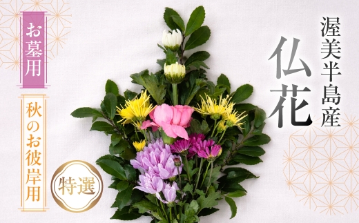 【お彼岸用　秋】産地直送 《お墓用》 仏花 特選 日時指定可 生産額 日本一 田原市 渥美半島 お彼岸 鮮度 生花 お花 お墓まいり