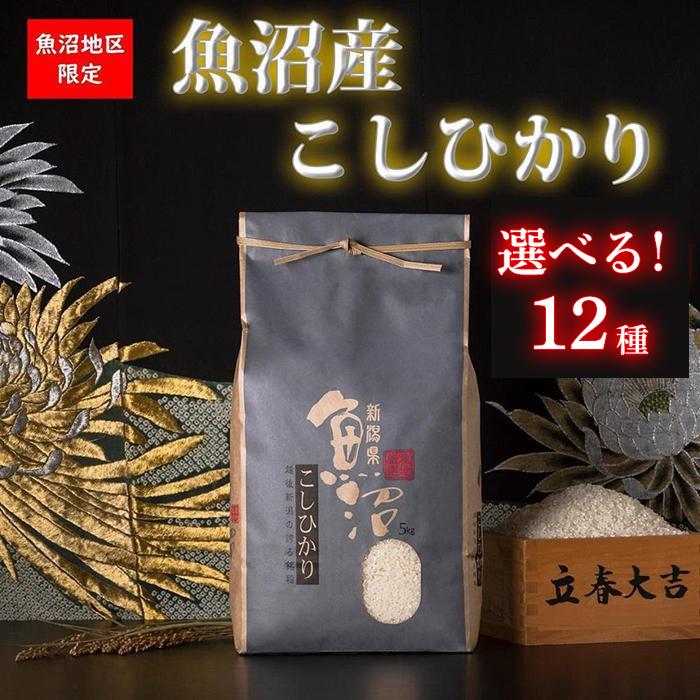 【ふるさと納税】【新潟県 特A地区】魚沼産コシヒカリ　白米／無洗米　各5kg／10kg／定期便(6・12ヶ月)から選べます