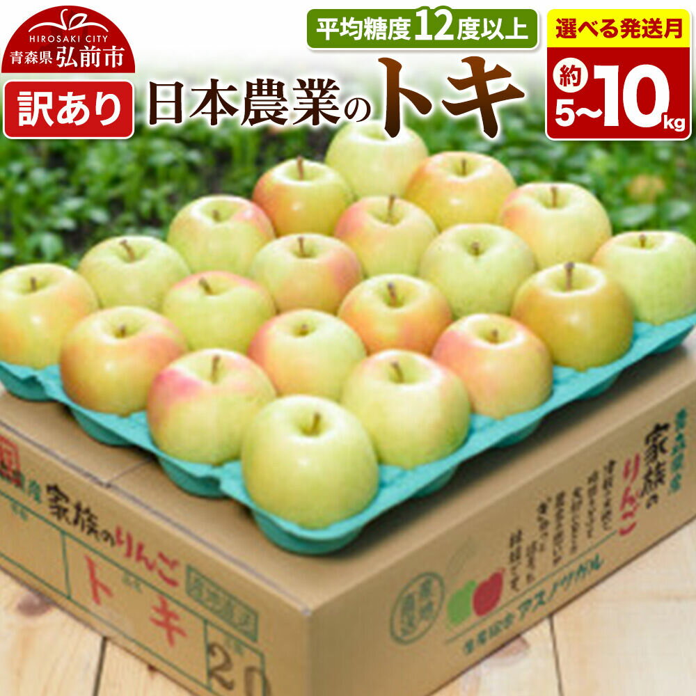 【ふるさと納税】りんご【選べる 26年10月〜27年2月 発送】トキ【訳あり】【選べる約 5kg／10kg】平均糖度12度以上 青森県 弘前市 果物 フルーツ 林檎 リンゴ くだもの 不揃い 規格外 [先行受付 家庭用 産地直送 アップル 青森県]