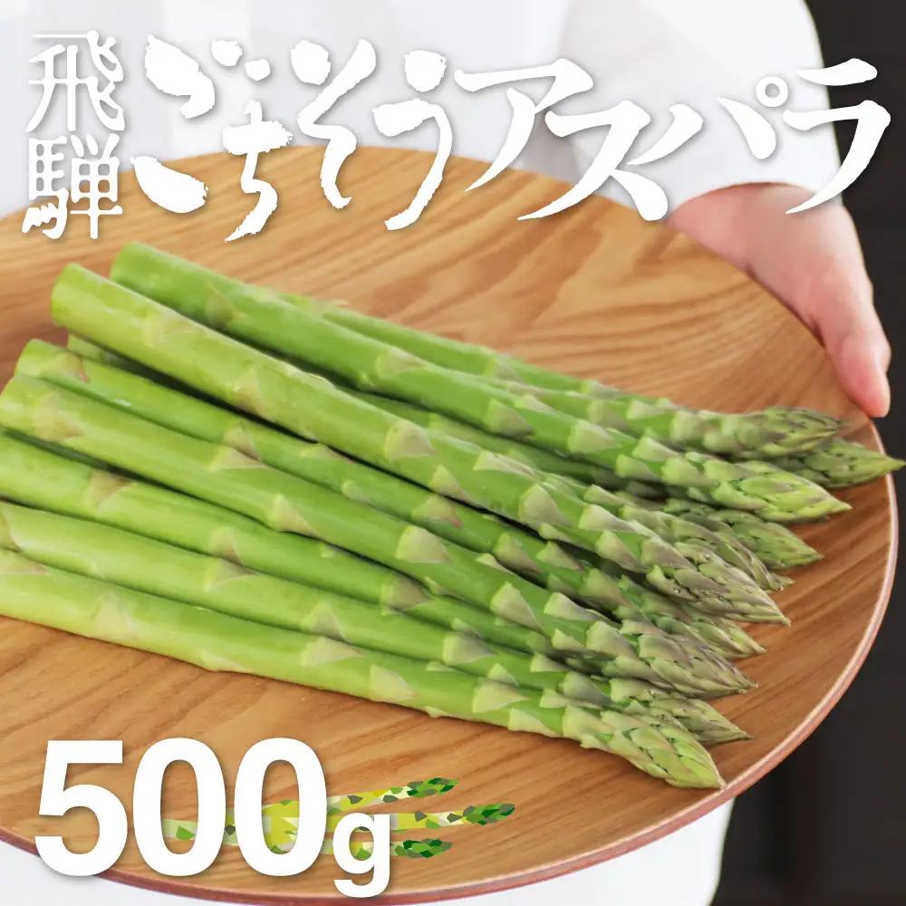 【2026年先行予約】飛騨のごちそうアスパラ L-2Lサイズ 500g アスパラガス syun77 