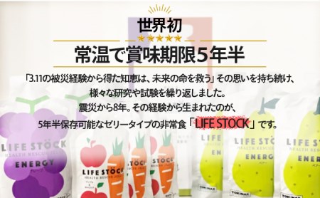 非常食 保存食 LIFE STOCK備蓄ゼリー　3人家族様3日分セット 【04209-0082】 コンパクト 防災食 非常食 保存食 避難食 高カロリー アレルギー対応 水分補給