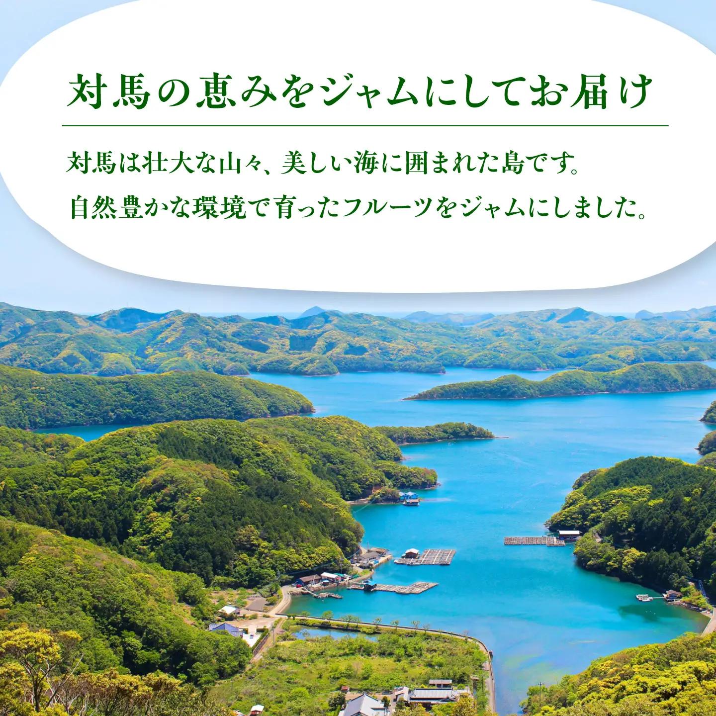 対馬のフルーツジャム 6本(3種類以上)セット フルーツ 果肉 ゆず ジャム ソース [WAM019]