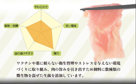 1.5kg！宮崎県産豚こま切れ(250g×6P) 肉 豚肉 こま切れ_K008-003