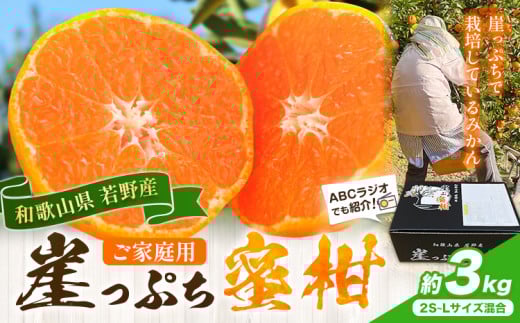 みかん ご家庭用 崖っぷち蜜柑 若野産 約3kg 2S～Lサイズ混合 《11月下旬-1月上旬頃出荷予定》 崖っぷち蜜柑 和歌山県 日高川町 みかん 柑橘 フルーツ 果物 ミカン 送料無料
