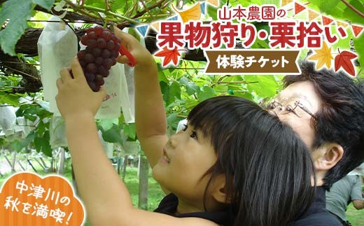 
                  果物狩り、栗拾い体験チケット 山本農園 体験 体験チケット チケット F4N-2516
                