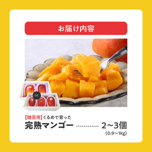 【2026年6月以降お届け】くるめで育った完熟マンゴー （2～3個：約0.9kg～1kg）_先行予約 完熟マンゴー 2個 ～ 3個 0.9kg ～ 1kg 贈答用 久留米産 とろける 甘い フルーツ 