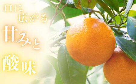 【和歌山県産】秀品 「紅娘」 温州 みかん  山下紅早生 1kg 「お試しに♪」 【S~2Lサイズおまかせ】【2026年11月中旬～2026年12月中旬までに順次発送】＜味好農園＞ /温州みかん みか