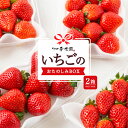 【ふるさと納税】 春光園 いちごのおたのしみBOX 2箱 2024年12月中旬から2025年4月下旬 お届け