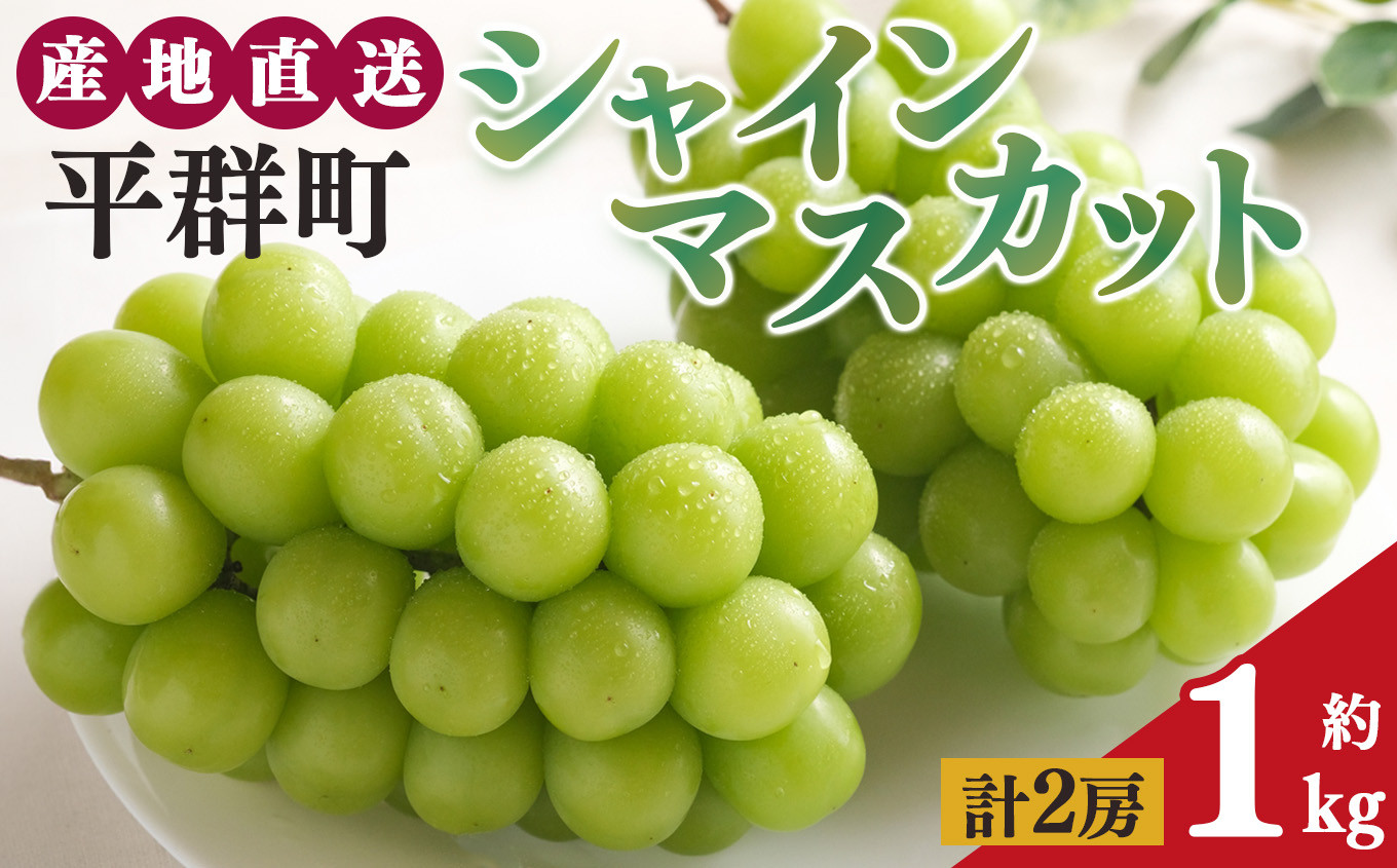 
                  【先行予約】シャインマスカット 2房 約1kg | 先行予約  季節限定 果物 くだもの フルーツ ぶどう 葡萄 ブドウ シャイン マスカット  パリッ 爽やか 甘味 食感 奈良県 平群町
                