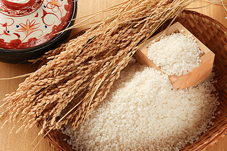 新米予約受付【令和7年産米】【定期便】こしひかり 5kg×6回 すがたらいす 下呂市金山産 2025年産 毎月 お米 米 精米 コシヒカリ 下呂温泉 下呂市 毎月 定期【51-C】 令和7年産米【定期