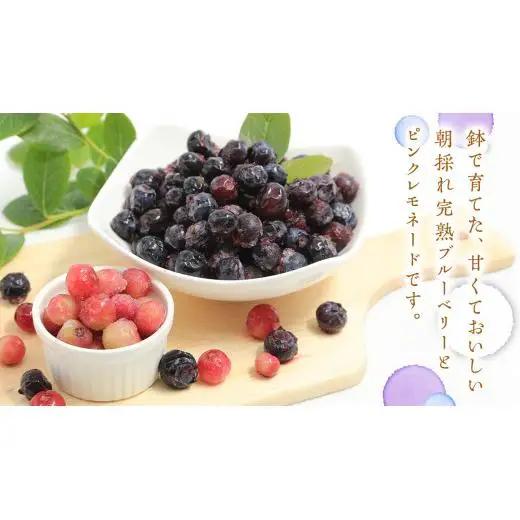 ≪先行予約≫【 数量限定 】 朝採れ 完熟 ブルーベリー 700g と ピンクレモネード 350g の 詰合せ セット 食べ比べ (1パックあたり 350g ) 【 2026年 6月上旬頃より発送開始